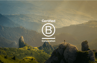 B Corp Buddies: Continew