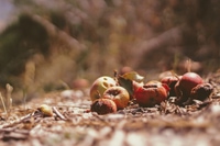10 companies fighting food waste